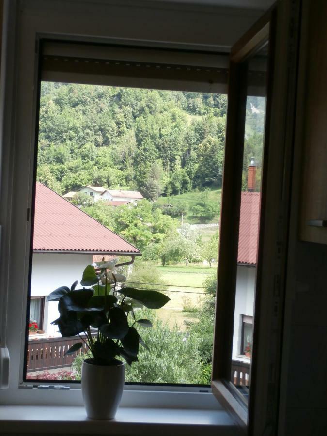 Apartma Ana Dreznica Kobarid Extérieur photo